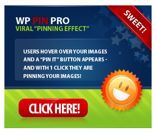 WP Pin Pro